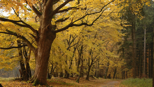 637133 (a): :2560x1440